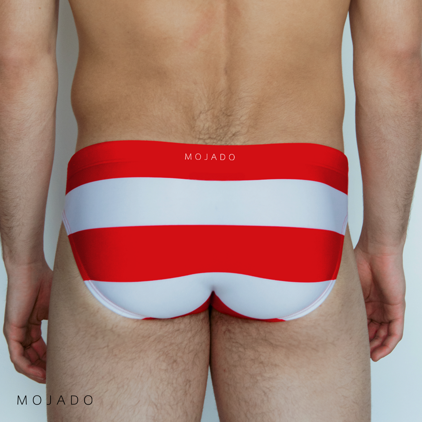 Bandera Stripe Swim Brief